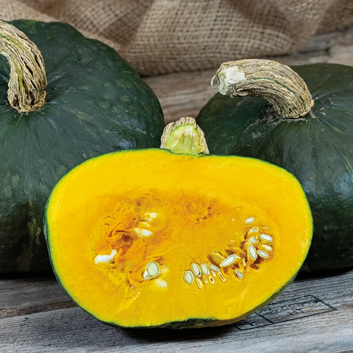 Maxima Organic Burgess Buttercup Squash 3 Maxima Organic Burgess Buttercup Squash