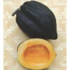 Organic Table King Squash -Maximas Flower Shop 04976