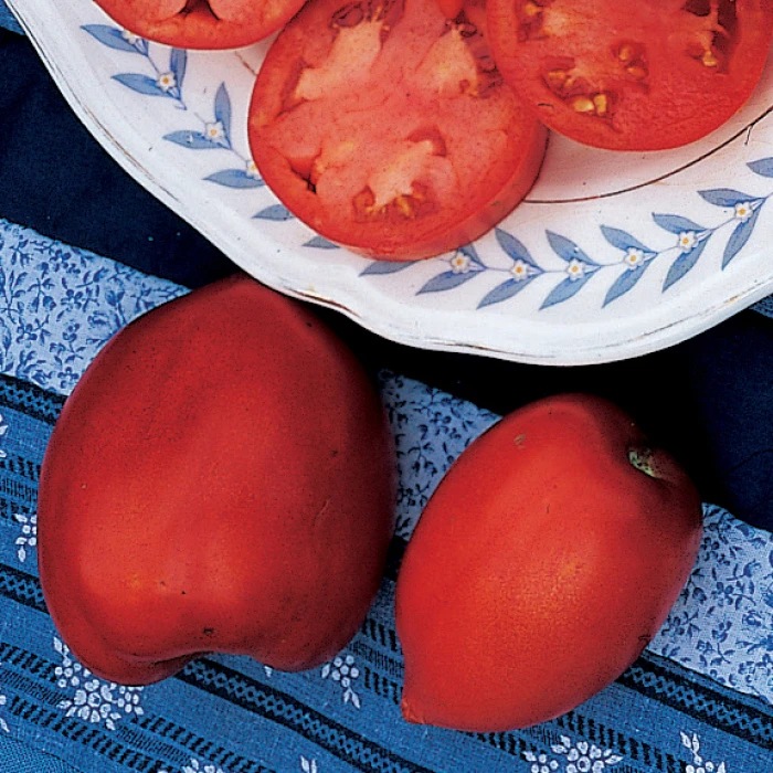 Amish Paste Organic Tomato 3 Amish Paste Organic Tomato