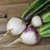 Purple Top White Globe Organic Turnip -Maximas Flower Shop 04995b