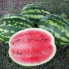 Organic Crimson Sweet Watermelon 1 Organic Crimson Sweet Watermelon -Maximas Flower Shop 04998 HV