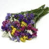 QIS Mix Statice 1 QIS Mix Statice -Maximas Flower Shop 07822