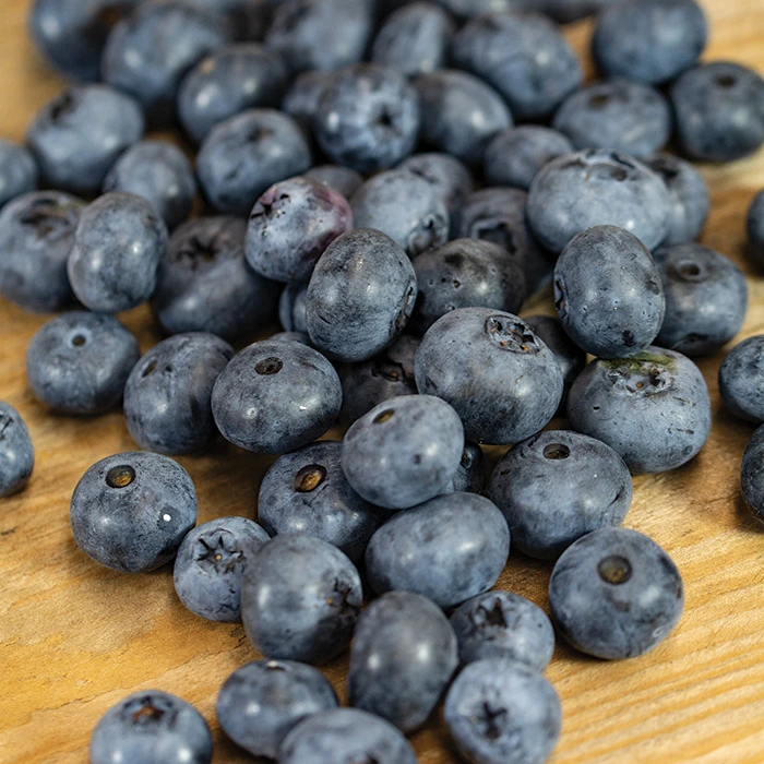 Duke Blueberry 3 Duke Blueberry