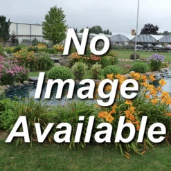 Tall Native Grass Seed Mix