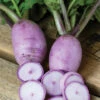 Sweet Baby Hybrid Radish -Maximas Flower Shop Radish SweetBabyHybrid AH 03319